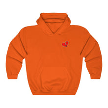 Load image into Gallery viewer, NR &quot;Lonely Broken Heart&quot; Hoodies (14 Colors)
