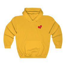 Load image into Gallery viewer, NR &quot;Lonely Broken Heart&quot; Hoodies (14 Colors)
